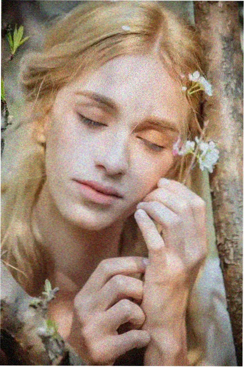 疯狂动物城2 电影海报